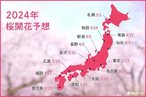 開花|【2024最新】桜の見ごろはいつ？地域ごとに異なる。